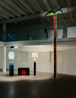 insitu collective