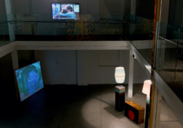 insitu collective