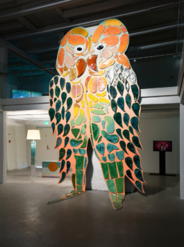 insitu collective